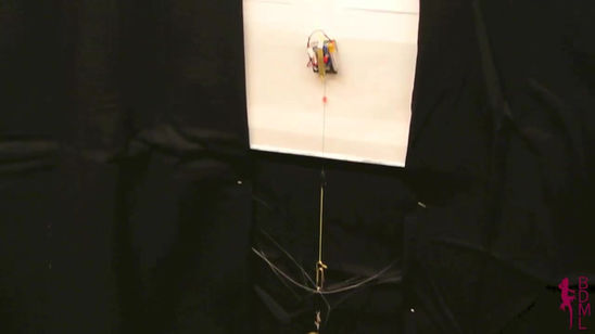 MicroClimber Hoisting Old Stickybot